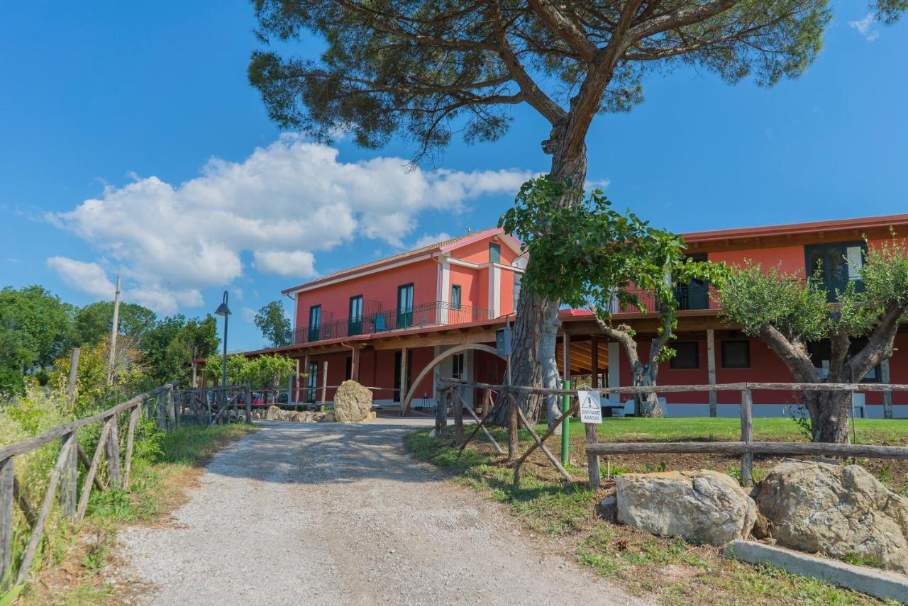 Montecorvino PuglianoTerra Di Vento住宿加早餐旅馆 外观 照片