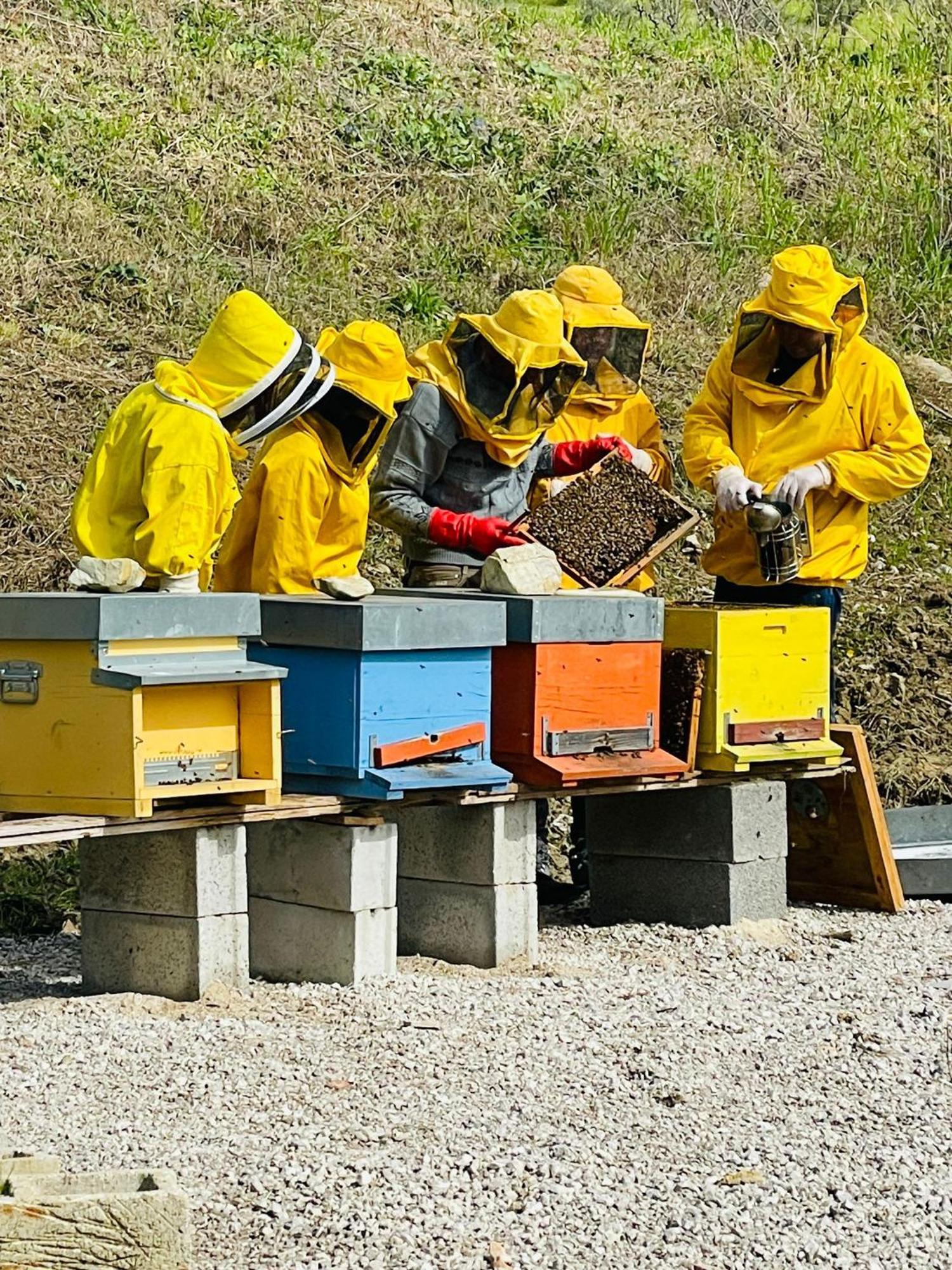 Montecorvino PuglianoTerra Di Vento住宿加早餐旅馆 外观 照片