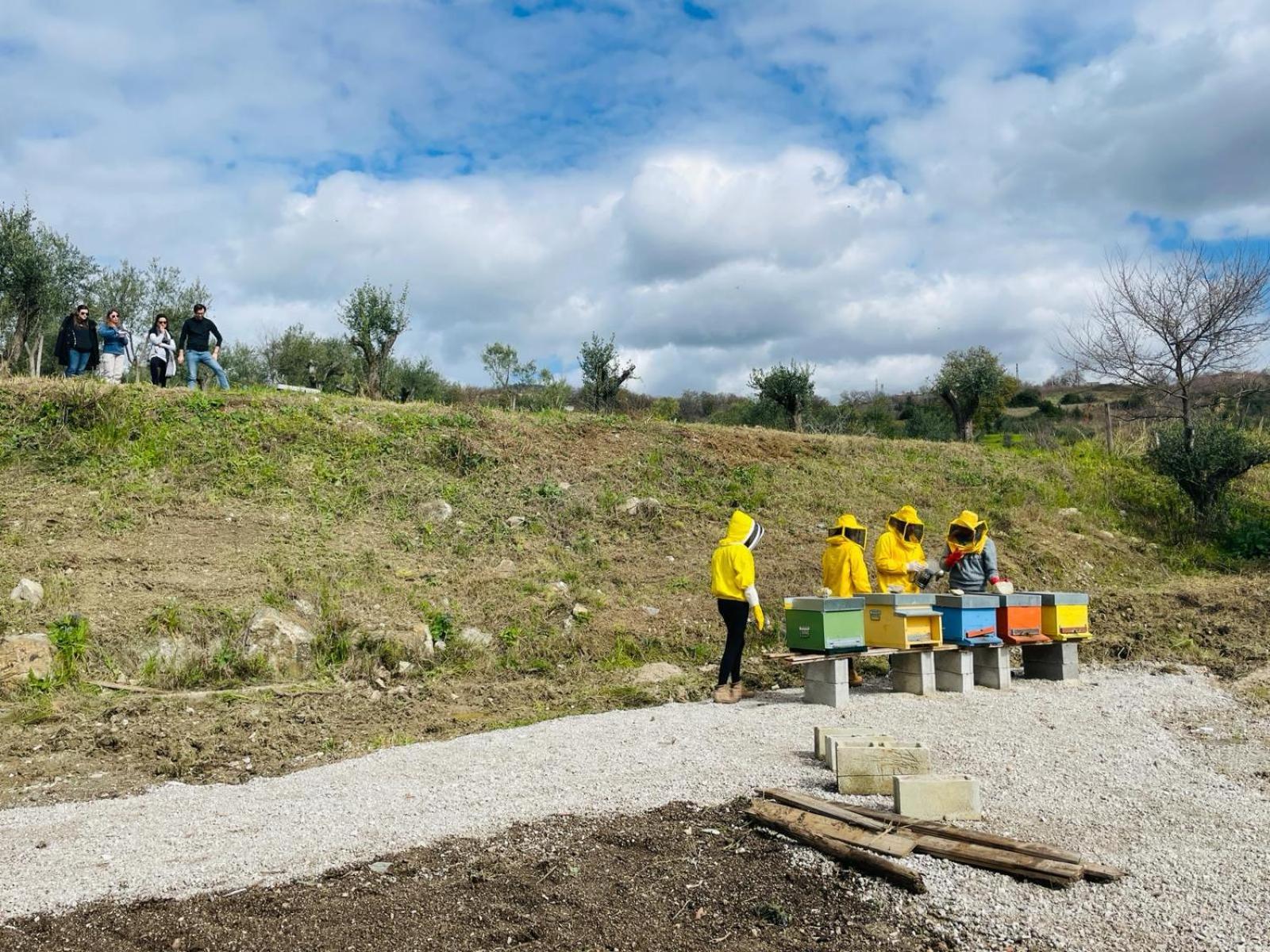 Montecorvino PuglianoTerra Di Vento住宿加早餐旅馆 外观 照片